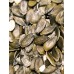 SPRAY FREE NZ PUMPKIN SEEDS 200 Grams Grown In Marton  